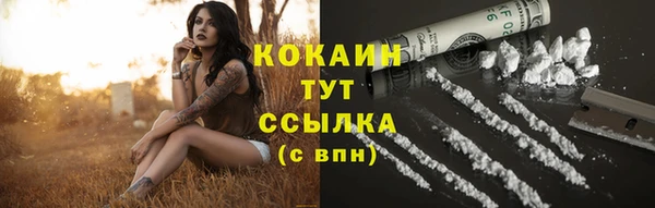 ГАЛЛЮЦИНОГЕННЫЕ ГРИБЫ Балахна