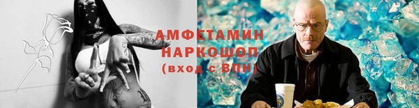 ГАЛЛЮЦИНОГЕННЫЕ ГРИБЫ Балахна