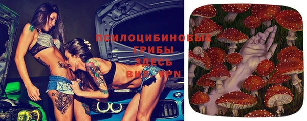 каннабис Баксан