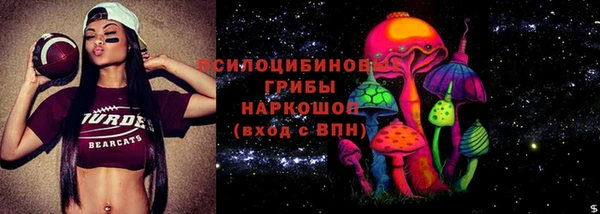 ГАЛЛЮЦИНОГЕННЫЕ ГРИБЫ Балахна
