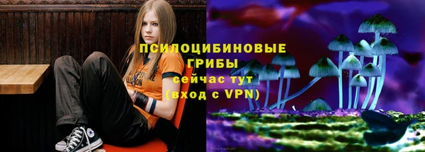 ГАЛЛЮЦИНОГЕННЫЕ ГРИБЫ Балахна