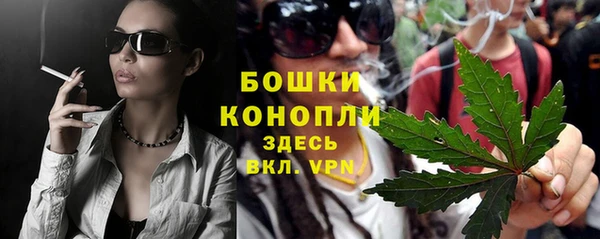 ГАЛЛЮЦИНОГЕННЫЕ ГРИБЫ Балахна