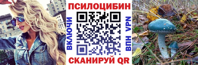 мега   Балей  Галлюциногенные грибы мицелий 